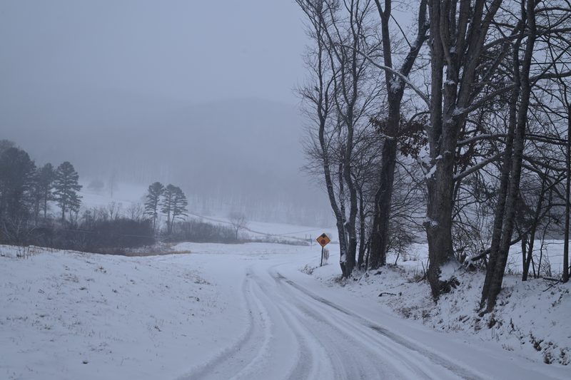DSC_0224.JPG